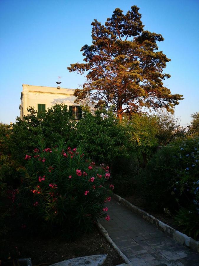 B&B Villa Maria Giovinazzo Bagian luar foto